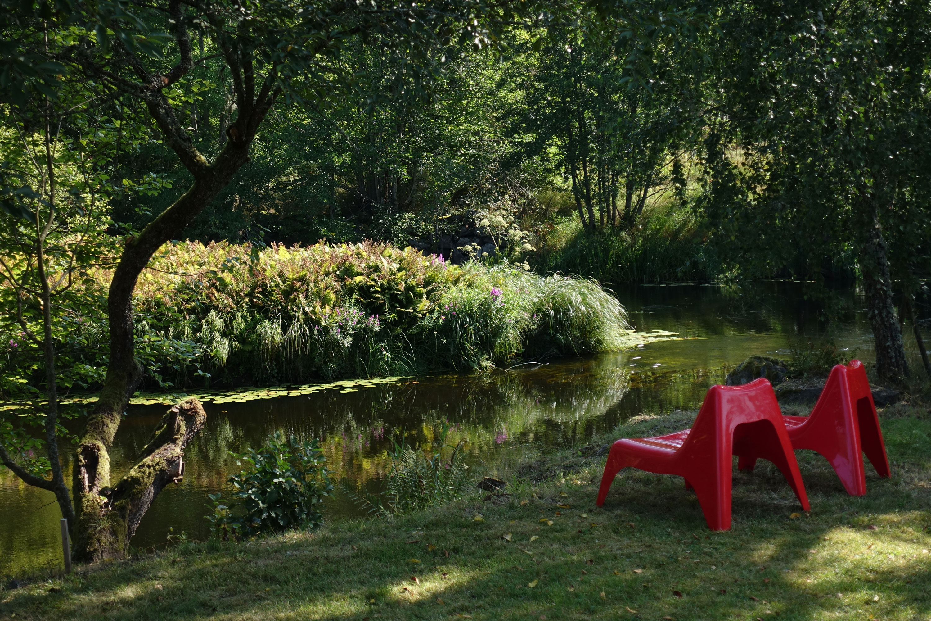 Bild 010